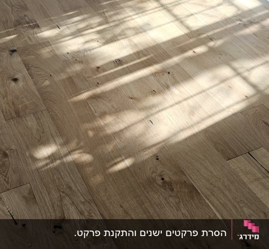 רצפת פרקט עץ עם דוגמת עץ טבעית